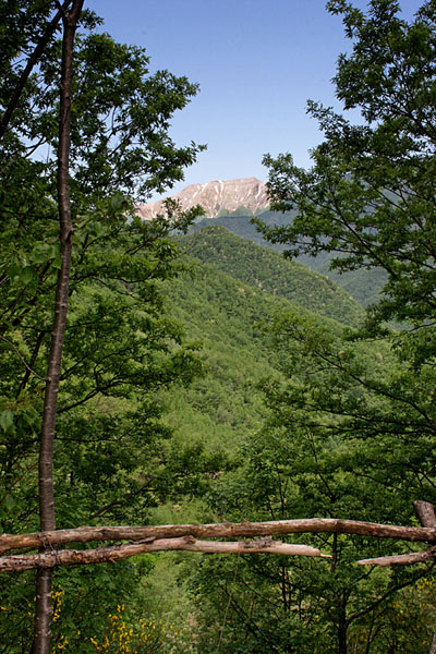 APPENNINES 35