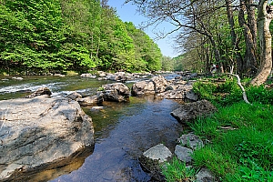IMG_12820%2001W_1.jpg