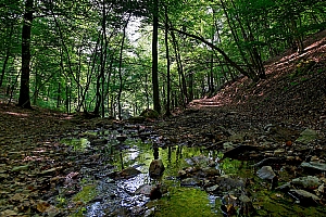 IMG_12829%2001W.jpg
