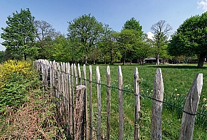IMG_12854_01W.jpg