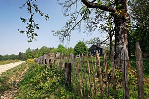 IMG_12856_01W.jpg