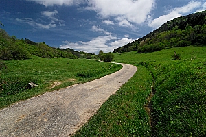 407%20CB%2012900%2001W.jpg