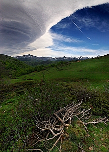 407%20CB%2012953%2001W.jpg