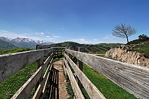 407%20CB%2012971%2001W.jpg