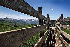 407%20CB%2012973%2001w.jpg