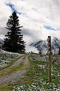 407%20CB%2013047%2001W.jpg