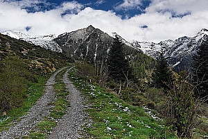 407%20CB%2013051%2001W.jpg