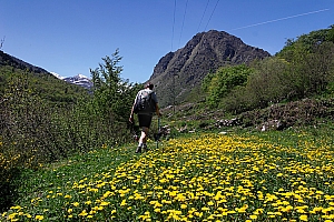 407%20CB%2013076%2001W.jpg