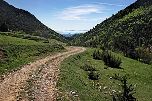 407%20CB%2013186%2001W.jpg
