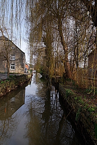 20070304_LESSIVE_12451_01W.jpg