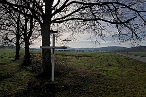 20070304_LESSIVE_12458_01W.jpg