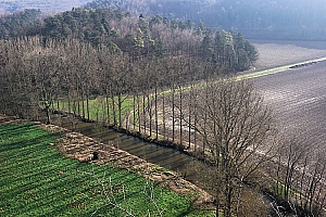 20070304_LESSIVE_12459_01W.jpg