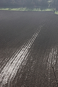 20070304_LESSIVE_12461_01W.jpg
