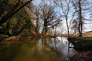 20070304_LESSIVE_12465_01W.jpg
