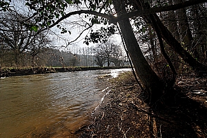 20070304_LESSIVE_12470_01W.jpg