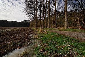 20070304_LESSIVE_12474_01W.jpg