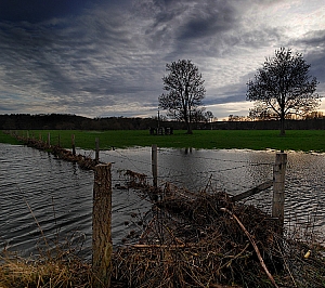 20070304_LESSIVE_12500_01W.jpg