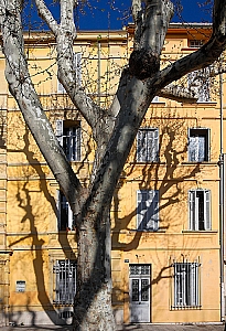 407%20MARSEILLE%2012597%2001W.jpg