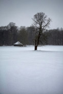 20 janvier 2013