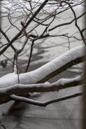 20 janvier 2013