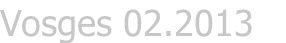 Site Title
