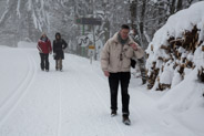 15 février 2013