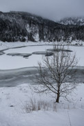 15 février 2013