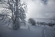 16 février 2013