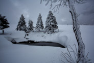 16 février 2013