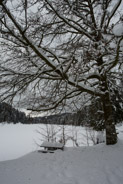 16 février 2013
