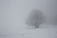 17 février 2013