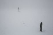 17 février 2013