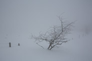 17 février 2013