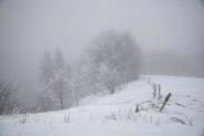 17 février 2013