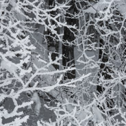 17 février 2013