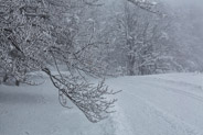 17 février 2013