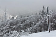 17 février 2013